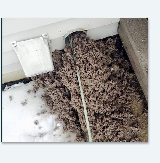 Dryer Lint Removal